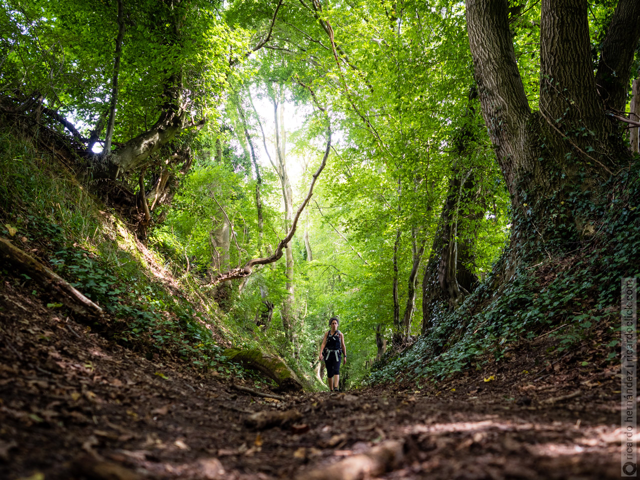 Dutch Mountain Trail